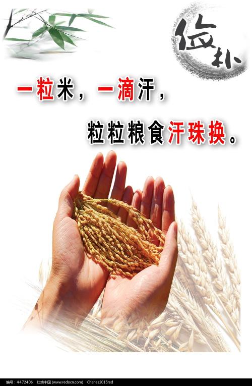 购买假马尼托巴省身份证